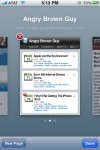 multiples safari windows
